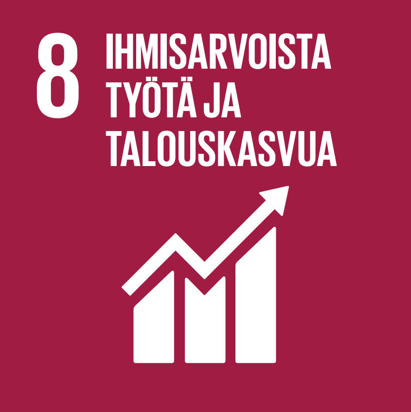 SDG 8 FI.PNG